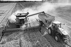 Black and white photo of an agricultural fleet at work in a field