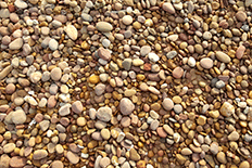 Color image of many small gray and brown rocks on dirt