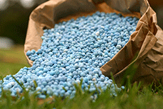 Color close up picture of blue pebble-like fertilizer in a brown bag pouring onto grass