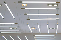 Ceiling with many suspended linear lighting units