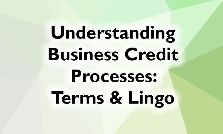 Understanding Business Credit Processes: Terms & Credit Lingo